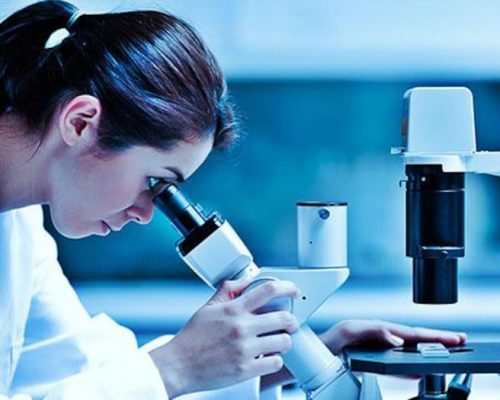 mlt-for-board-p73o7gwx3z5hcintkz7ze4jse8aue14zmi4aq337og Medical Lab Technician